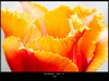 00048
